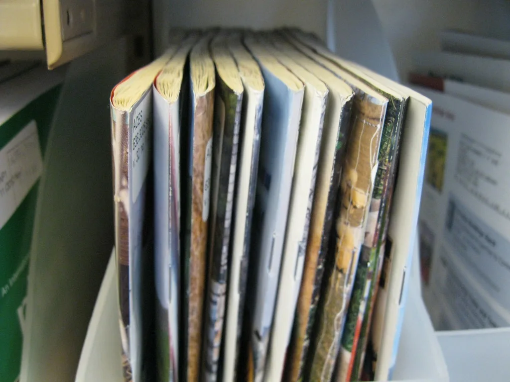 Lectuurbak voor een kleine ruimte: compacte en wandmodellen